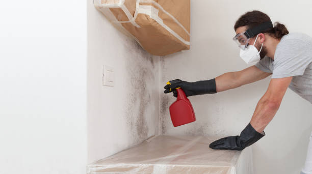 Professional Bathroom Mold Removal technician working in Carrollton, IL