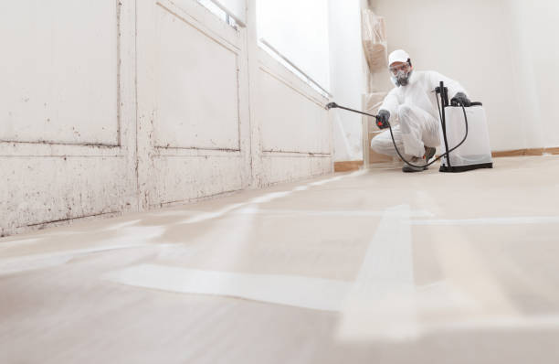 24/7 Emergency Bathroom Mold Removal experts in Carrollton, IL