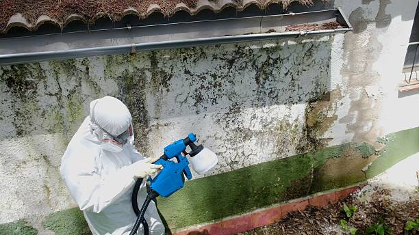 Top rated local Bathroom Mold Removal specialists in Carrollton, IL